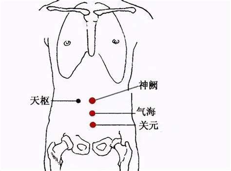 氣海關元位置|醫砭 » 經穴庫 » 氣海